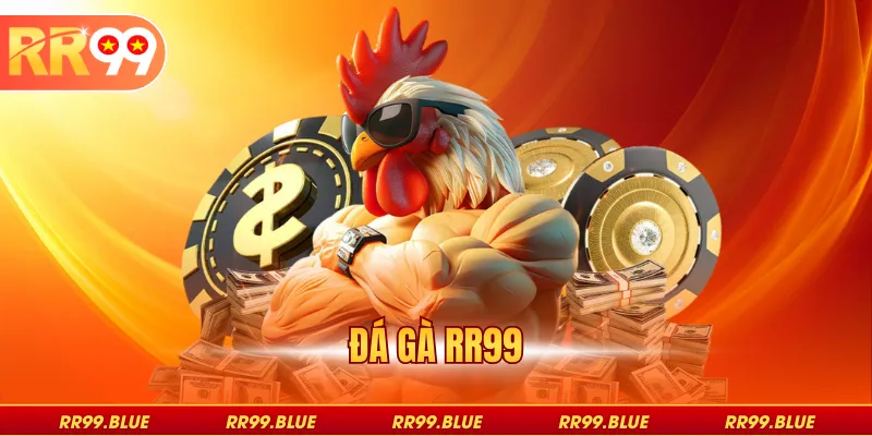 Đá gà RR99